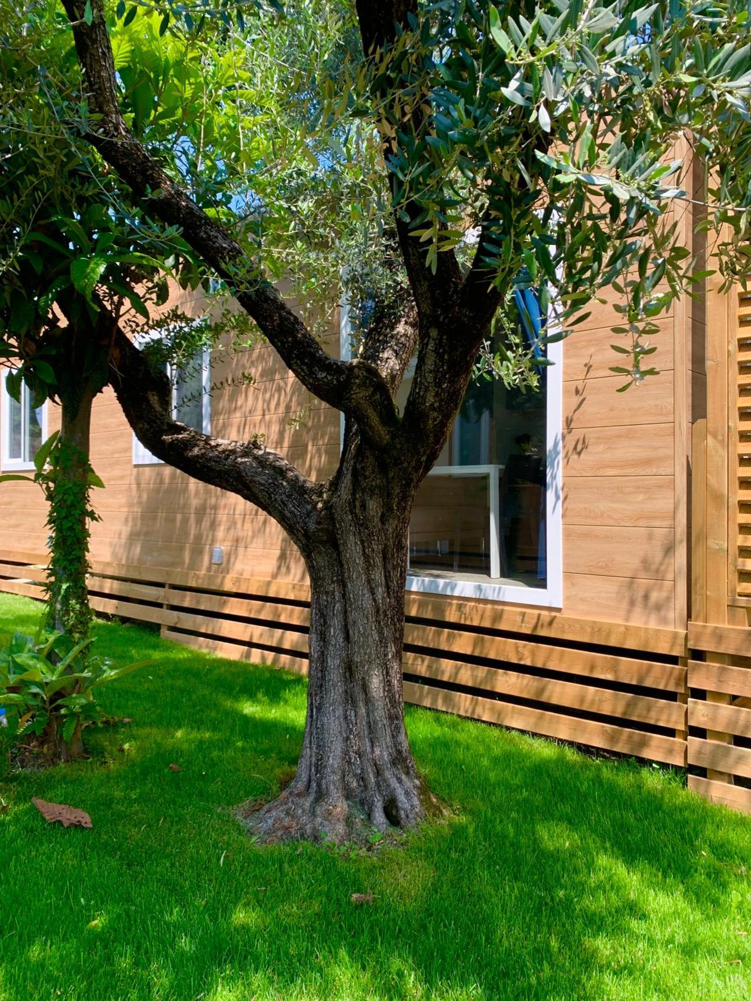 Campeggio Della Colombaia Padenghe sul Garda Ngoại thất bức ảnh